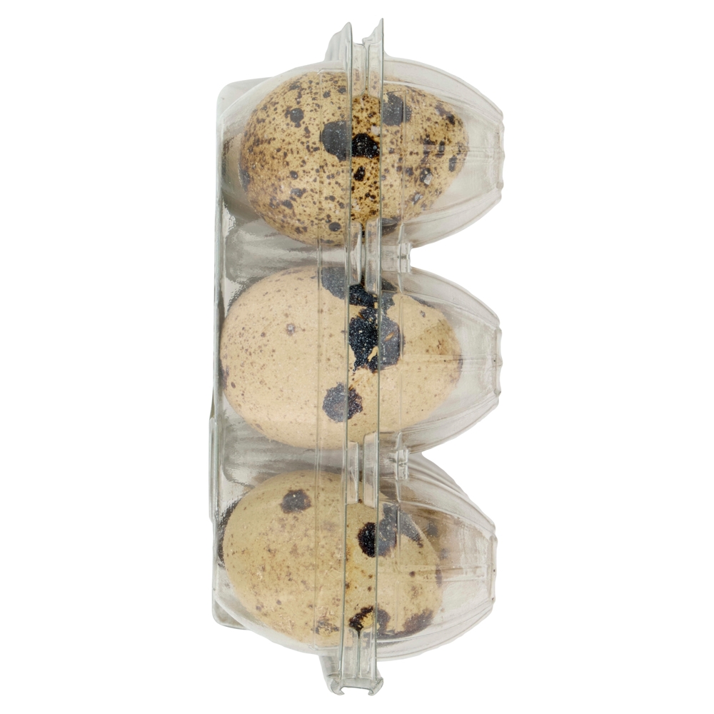 12 Uova Fresche di Quaglia